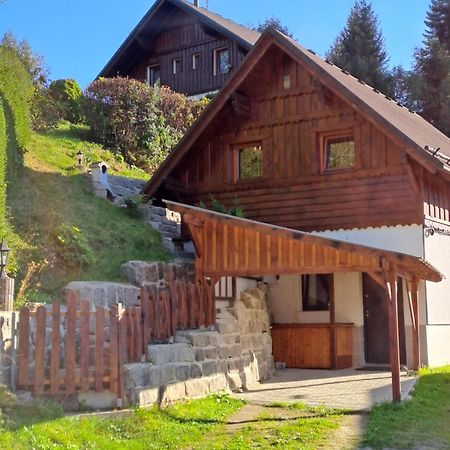Apartmán Albrecht Albrechtice v Jizerskych horach Kültér fotó