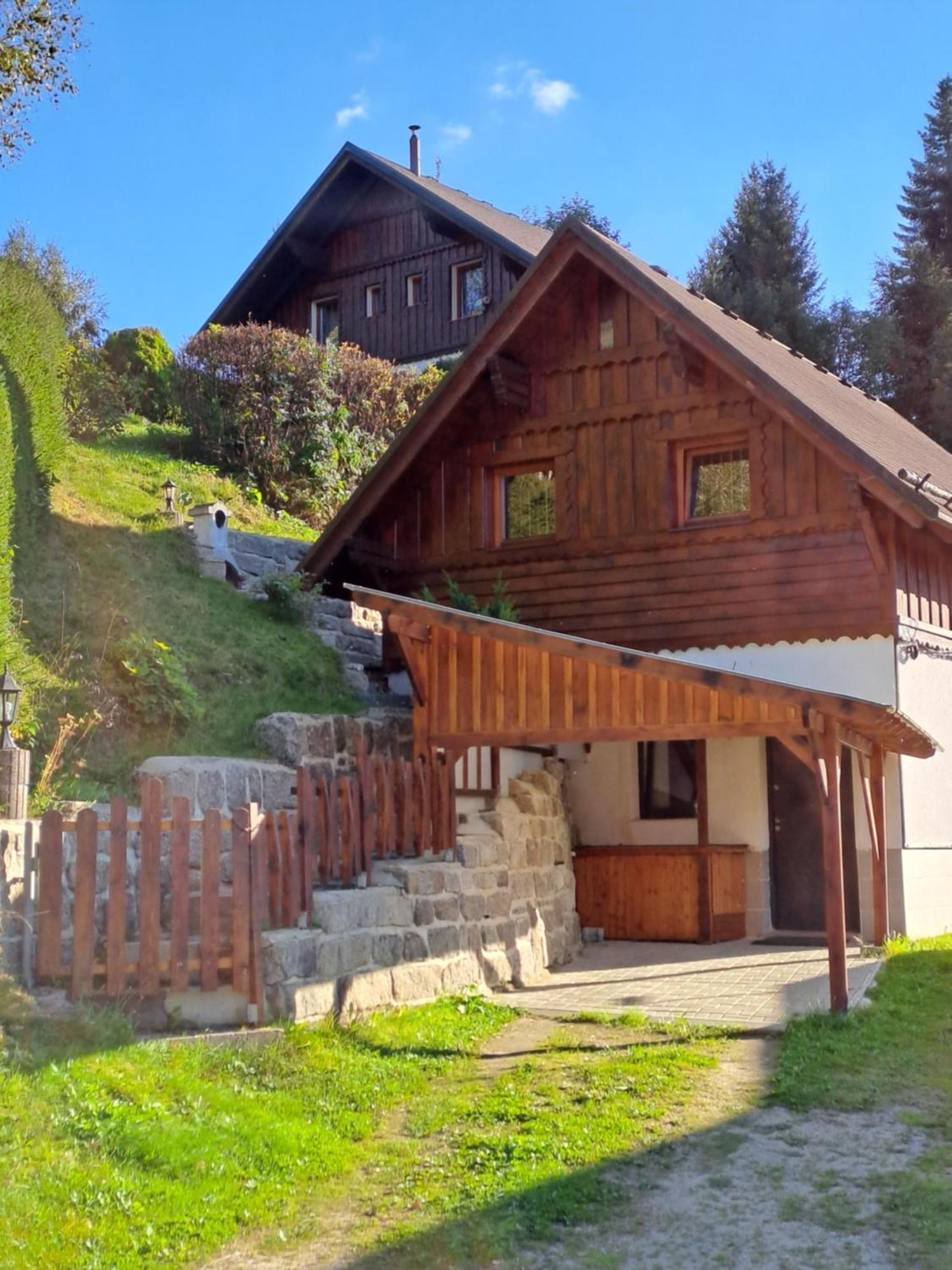 Apartmán Albrecht Albrechtice v Jizerskych horach Kültér fotó